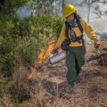 The Importance of Understanding the Coverage Area for Fire Services in Northern Virginia