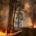 The Importance of Strategic Fire Station Locations in Northern Virginia