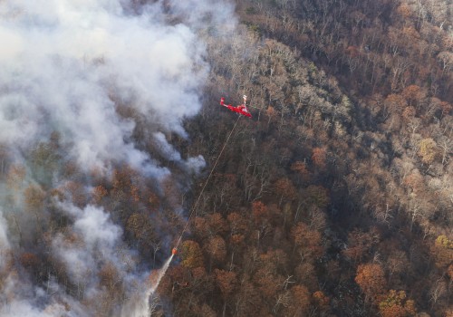 The Essential Protocol for Responding to Wildfires in Northern Virginia